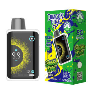 5g Disposable Vape Single